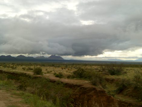 My beautiful picture