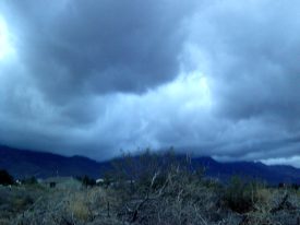 My beautiful picture