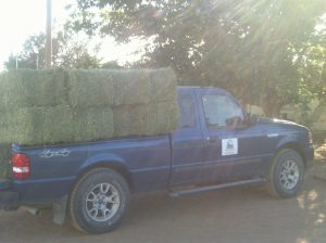 My beautiful picture