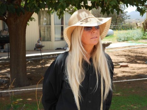 311084_267565039922940_7324012_n