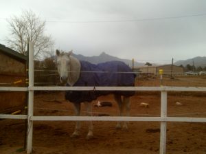 My beautiful picture