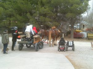 My beautiful picture