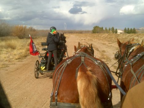 My beautiful picture