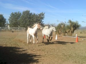 My beautiful picture