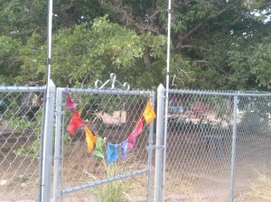 My beautiful picture