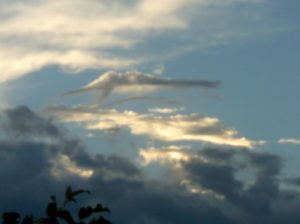 My beautiful picture