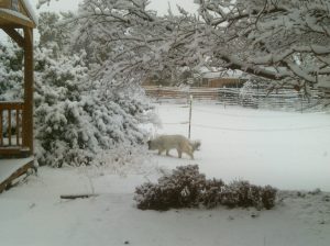 My beautiful picture