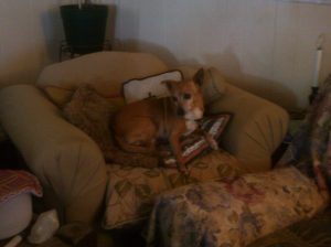 My beautiful picture