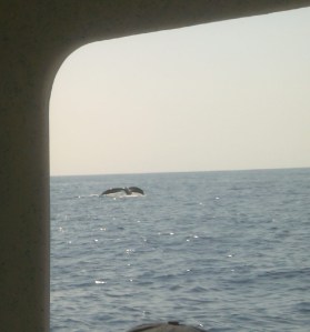 My beautiful picture