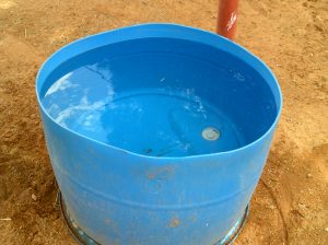 My beautiful picture