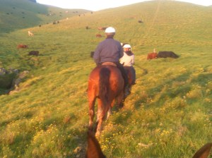 My beautiful picture