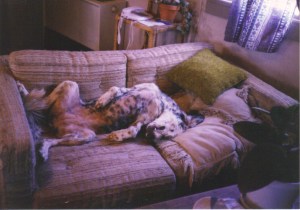 2-17-2010 12;56;19 PM