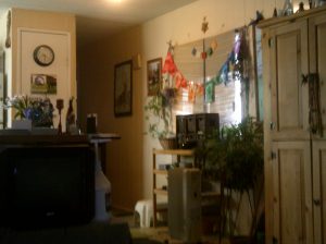 My beautiful picture