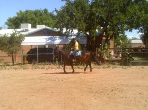 My beautiful picture
