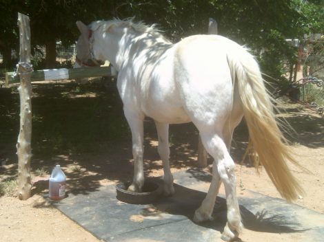 My beautiful picture