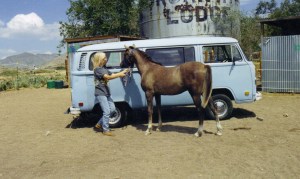 Dharma Gita, too big to ride in the bus anymore