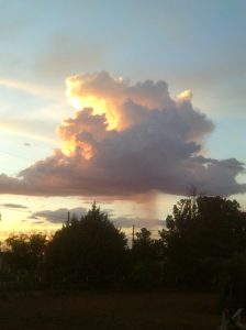 My beautiful picture