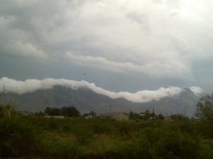 My beautiful picture