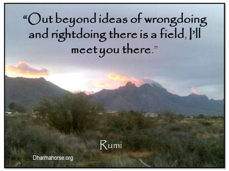 Out beyond ideas of wrongdoing and rightdoing