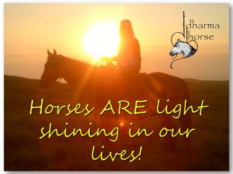 Horses ARE light shining in our lives!