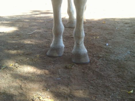 My beautiful picture