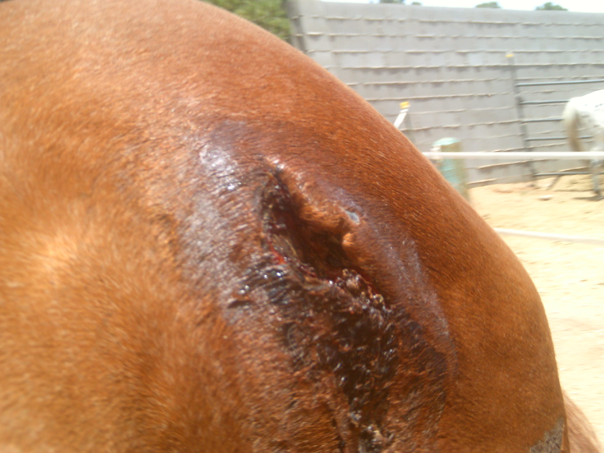 My beautiful picture