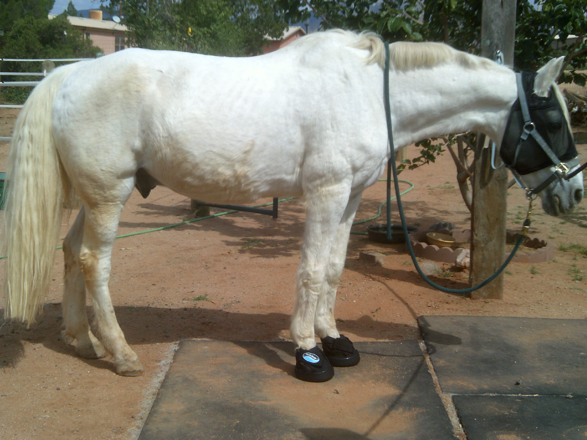 My beautiful picture