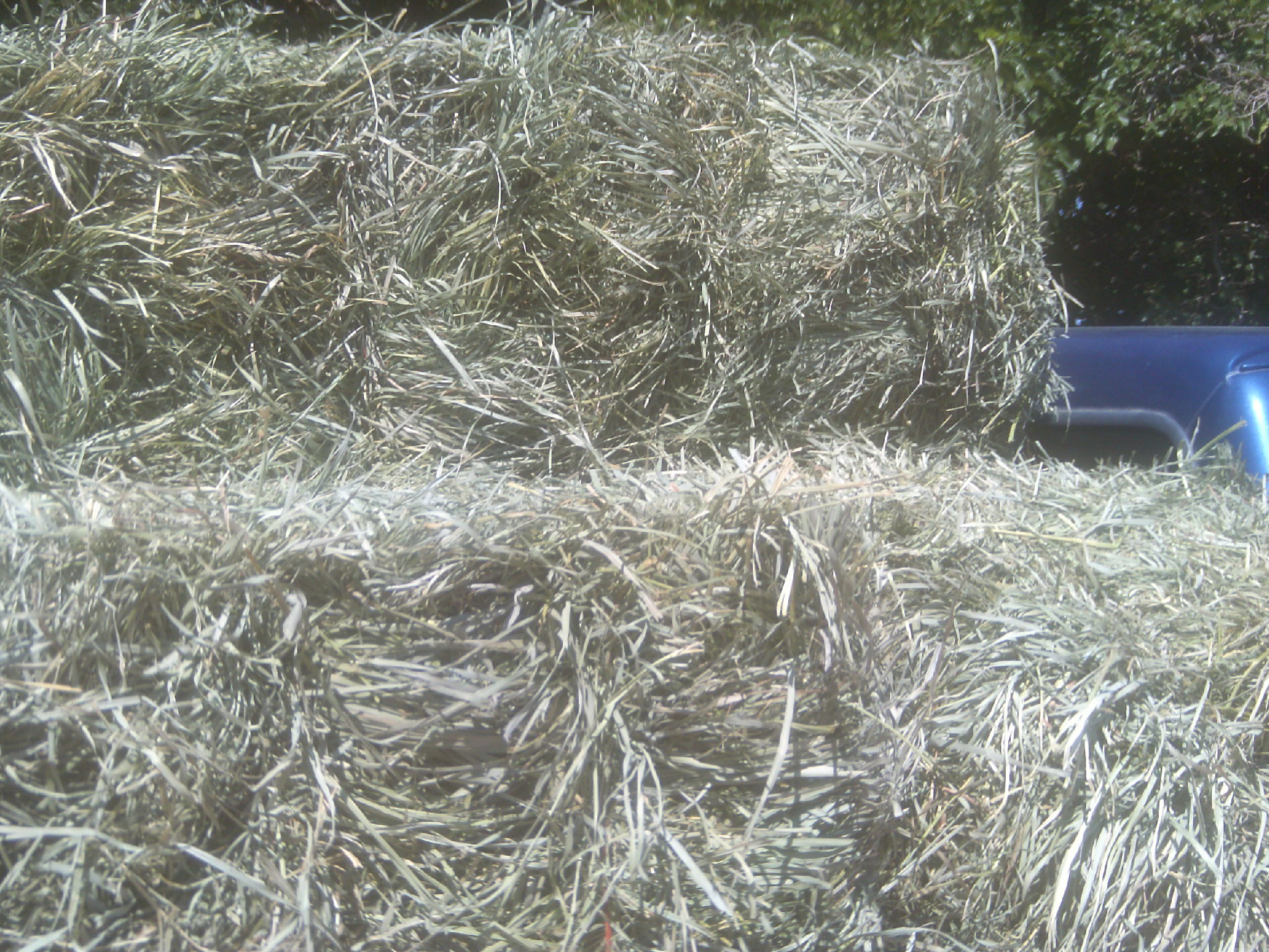 My beautiful picture