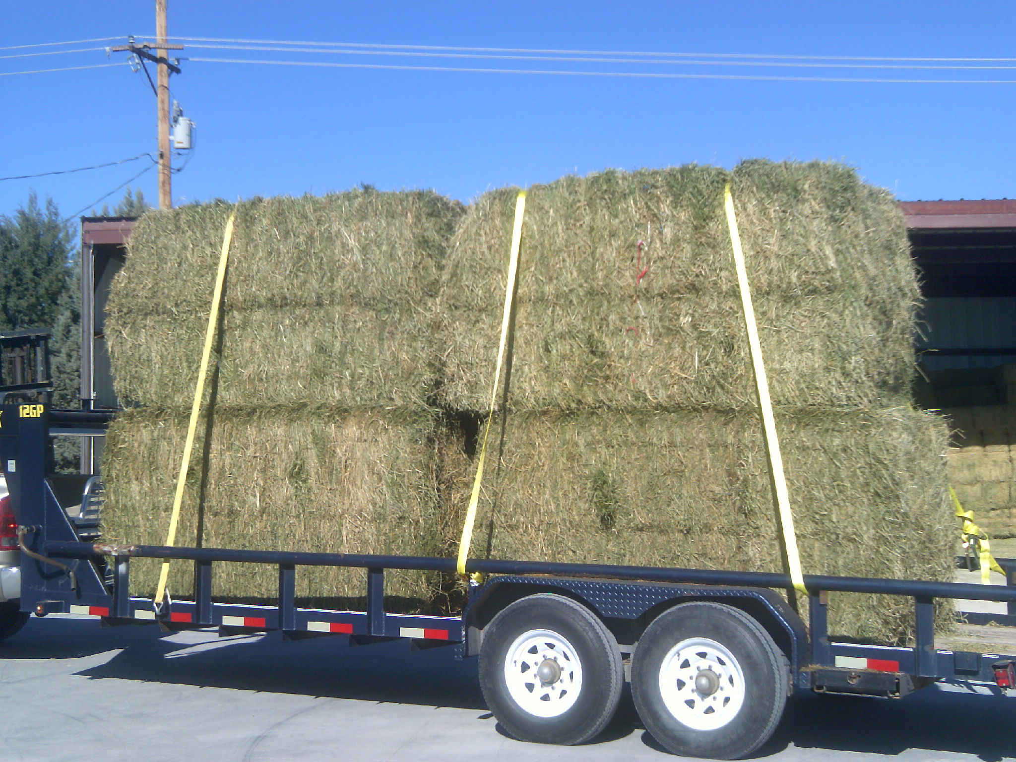 My beautiful picture