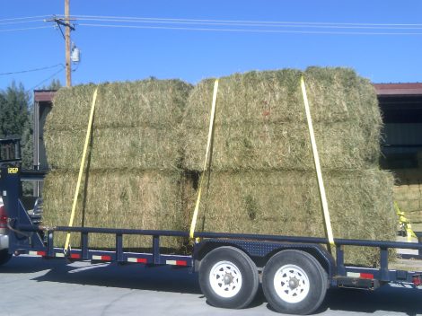 My beautiful picture