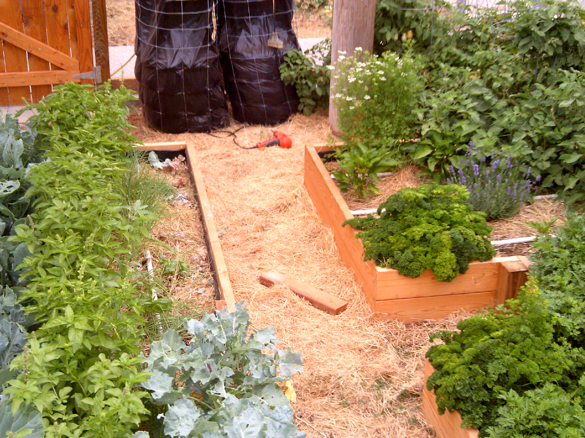 My beautiful picture